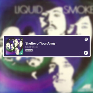 Download or stream " Shelter Of Your Arms" by Liquid Smoke. Music licensing available through Amherst Records.
